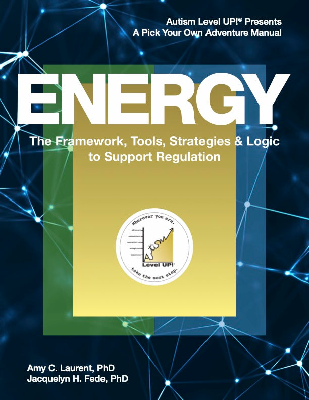 Cover of Energy: The Framework, Tools, Strategies and Logic to Support Regulation
